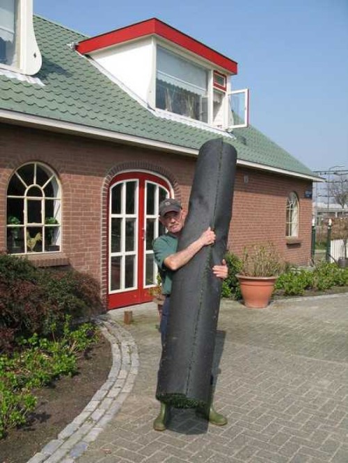 Kunstgras 5x2m (10m)